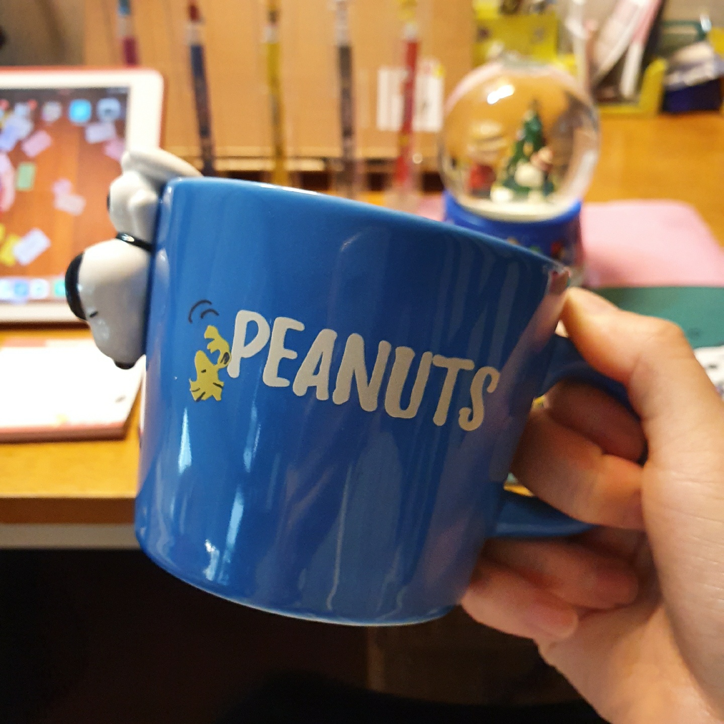 입덕 인정 단계...☺