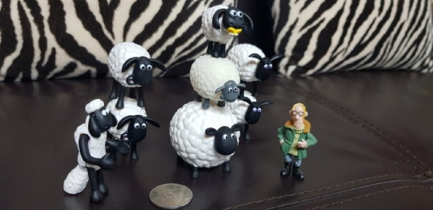 숀더쉽(Shaun the sheep).EP.또 쌓아라 숀!