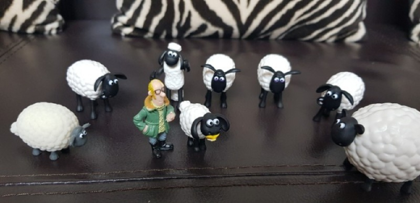 숀더쉽(Shaun the sheep).EP.또 쌓아라 숀!