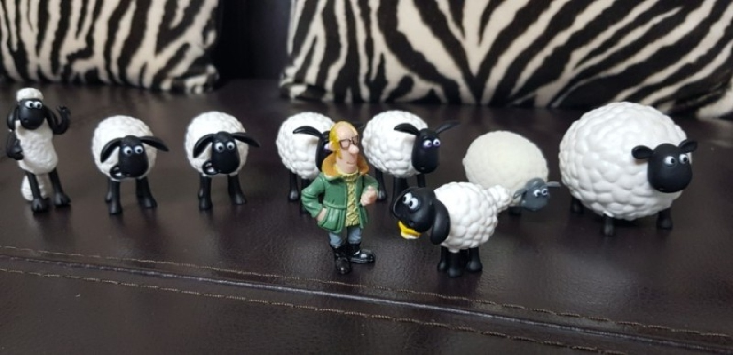숀더쉽(Shaun the sheep).EP.또 쌓아라 숀!