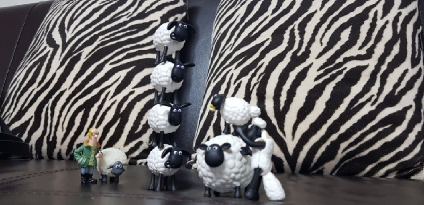 숀더쉽(Shaun the sheep).EP.또 쌓아라 숀!