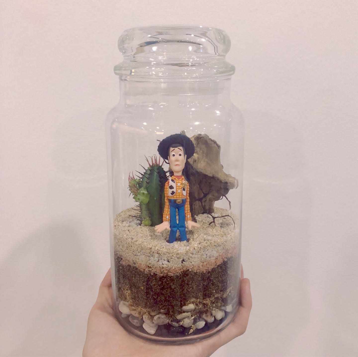 우디테라리움🌵