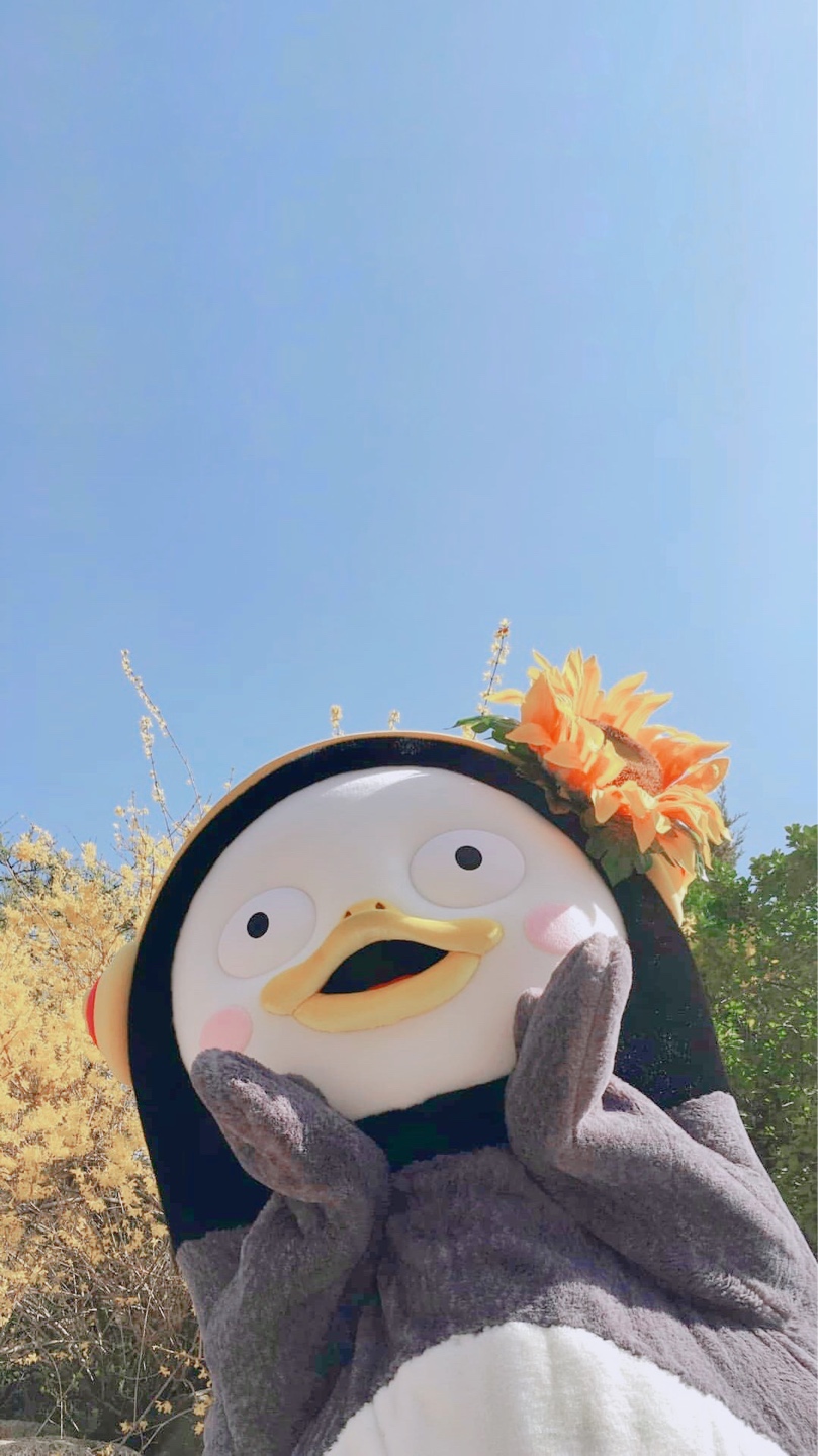 펭수