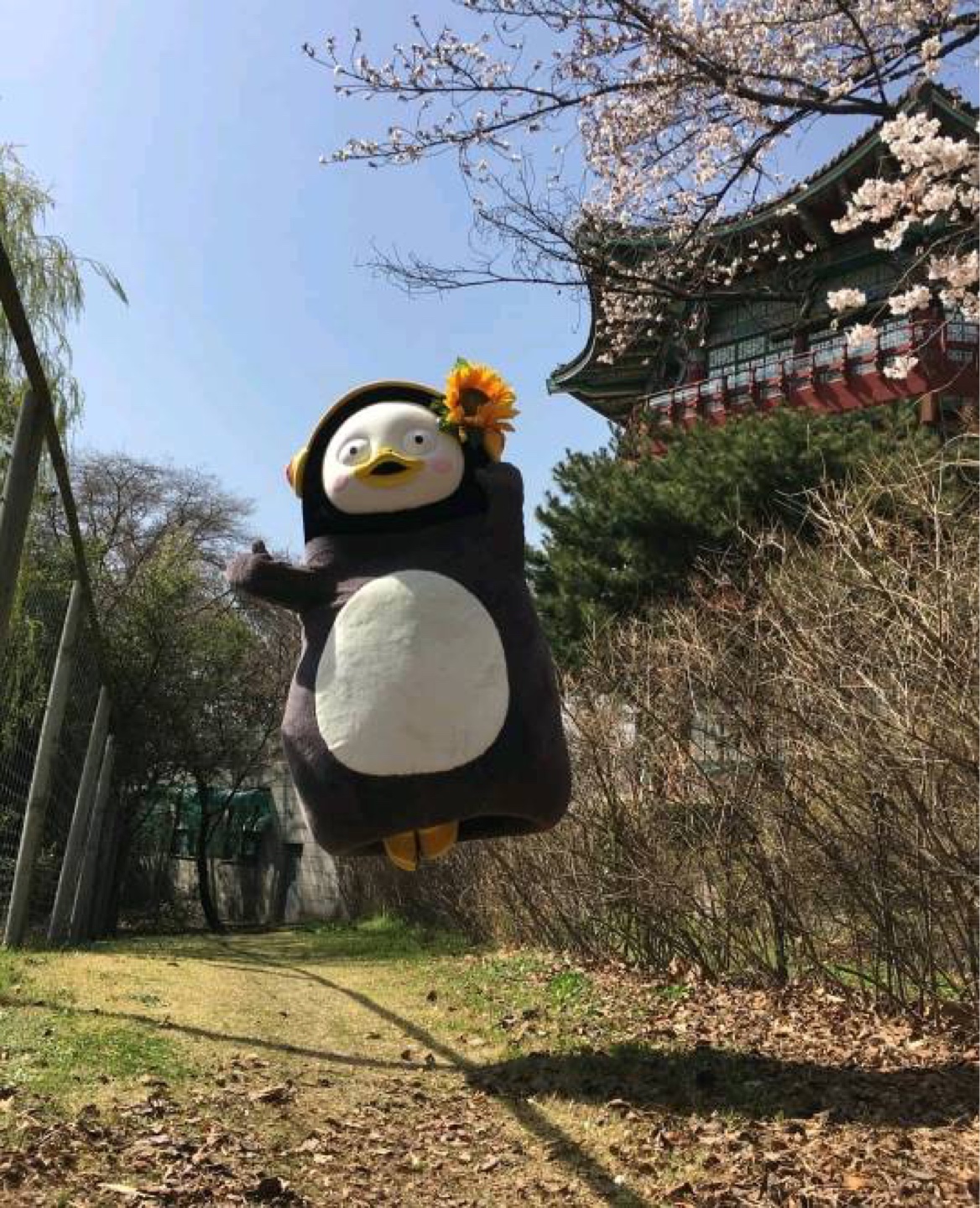 펭수