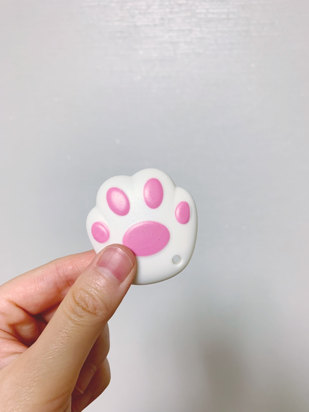 냥냥 미니칼🐱
