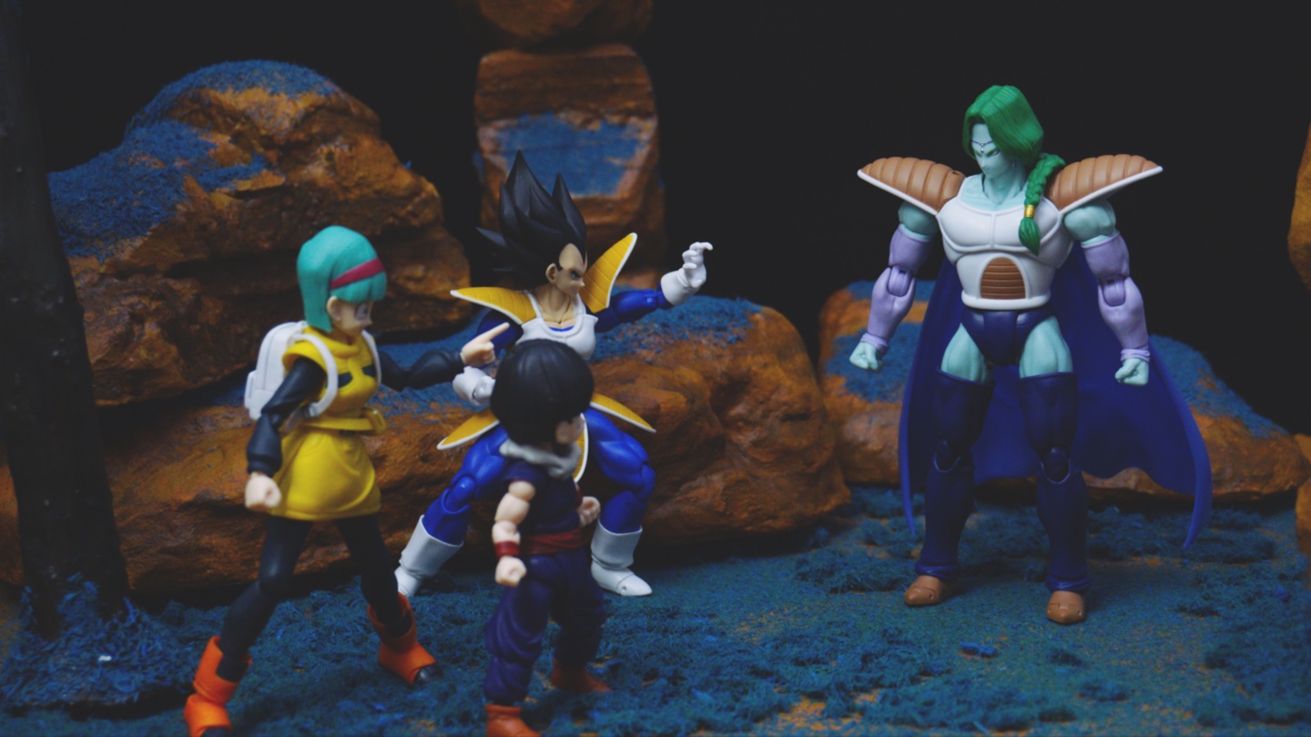 반다이 S.H.Figuarts 드래곤볼 혼웹한정 자봉