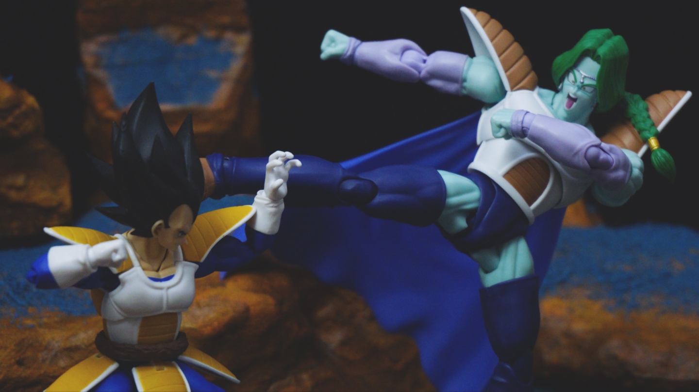 반다이 S.H.Figuarts 드래곤볼 혼웹한정 자봉