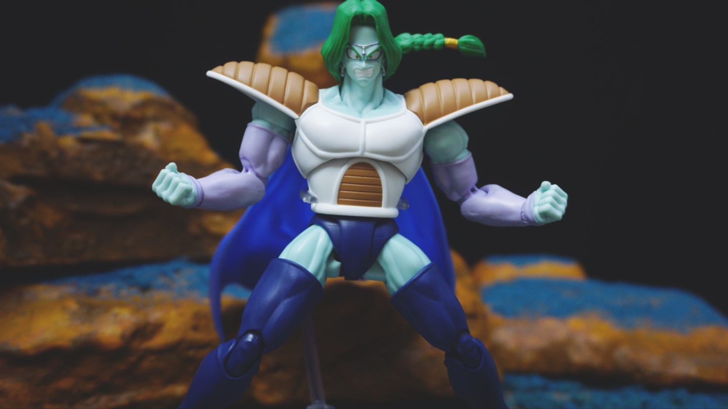 반다이 S.H.Figuarts 드래곤볼 혼웹한정 자봉
