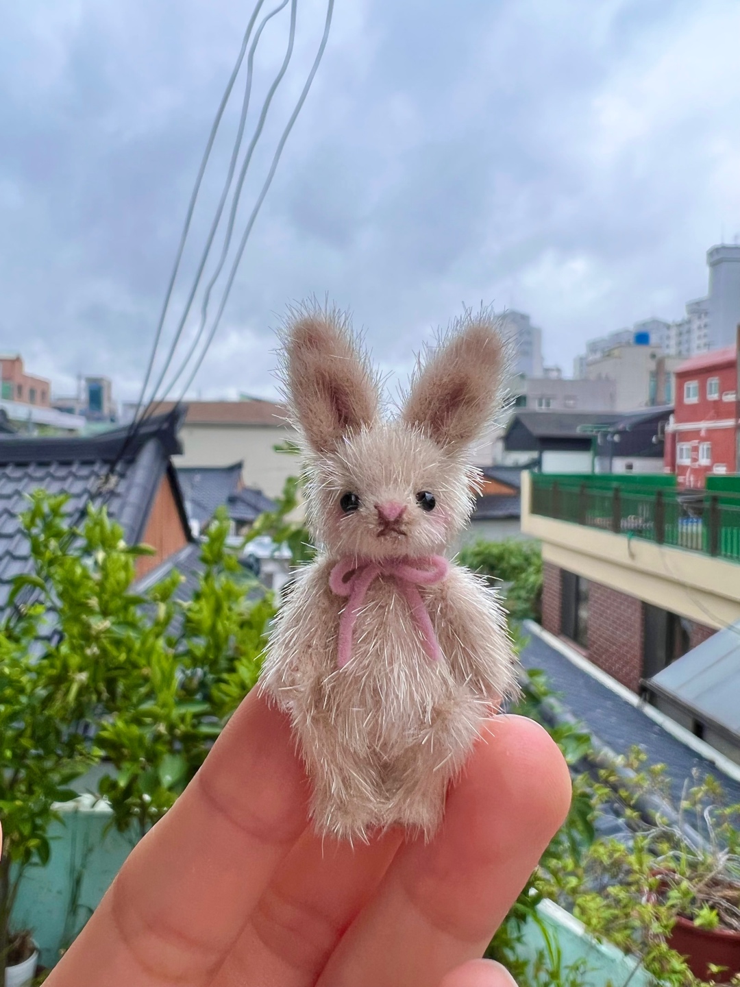 보송보송