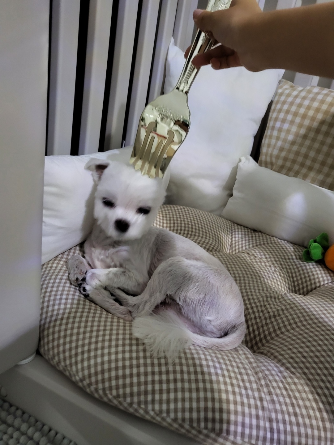 인어공주 포크 빗