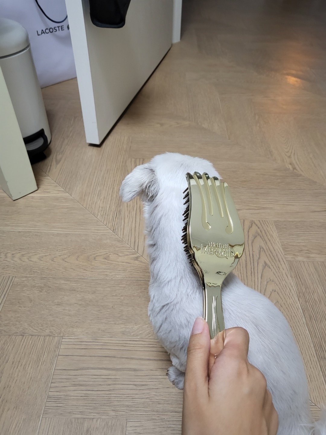 인어공주 포크 빗