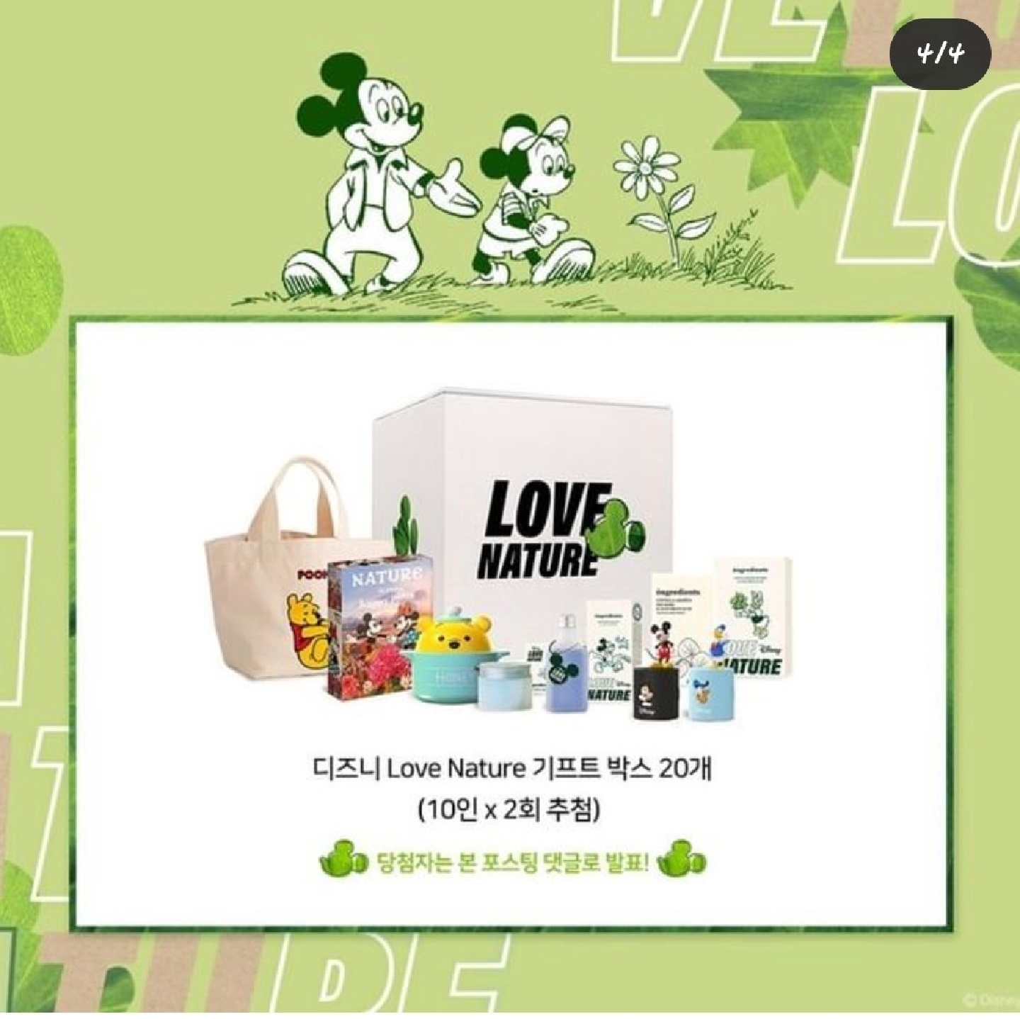 디즈니 love Nature 기프트박스