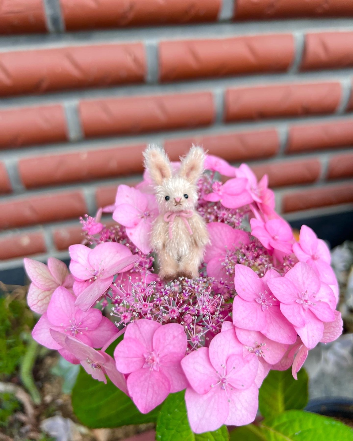 소듕