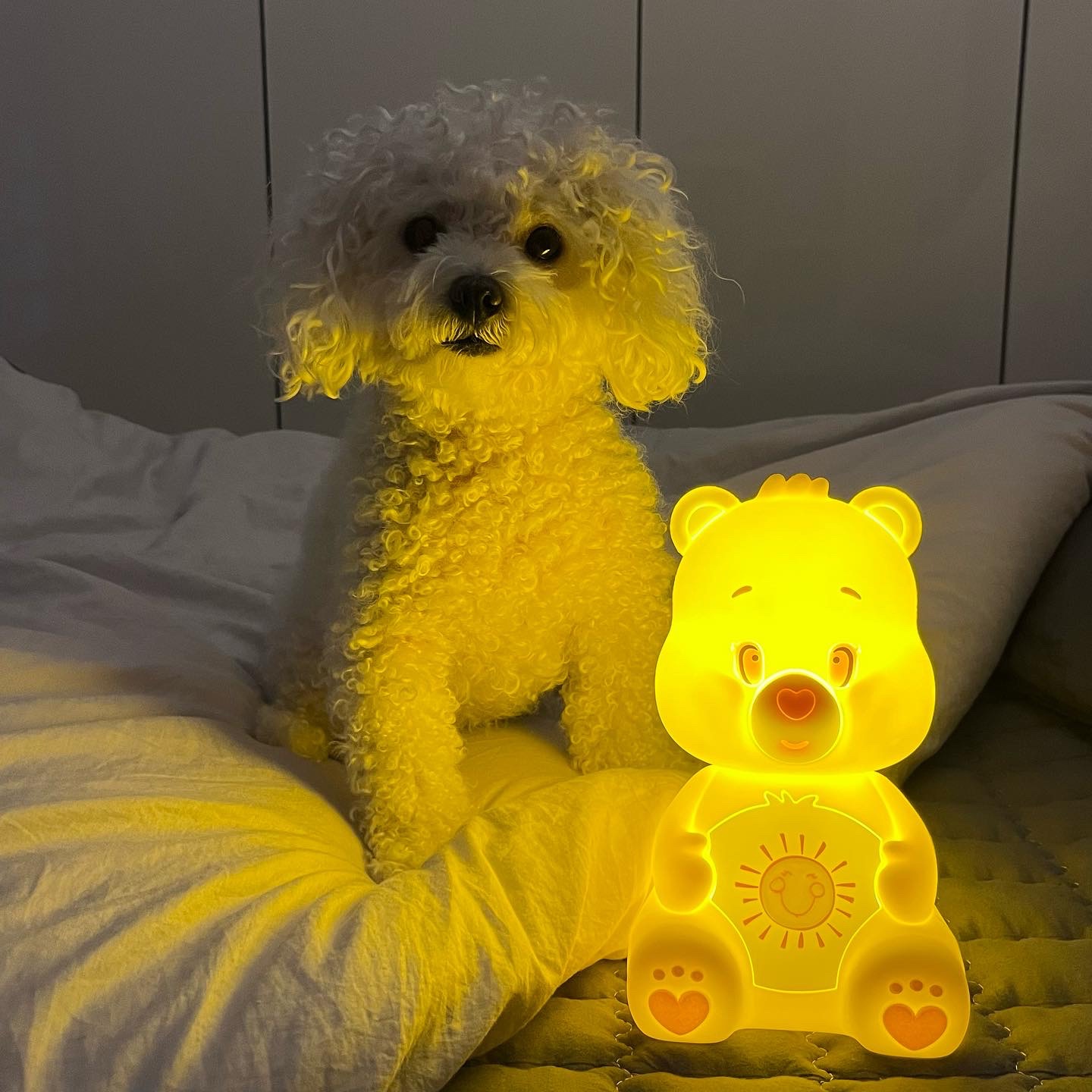 💛케어베어 무드등 옐로우💛