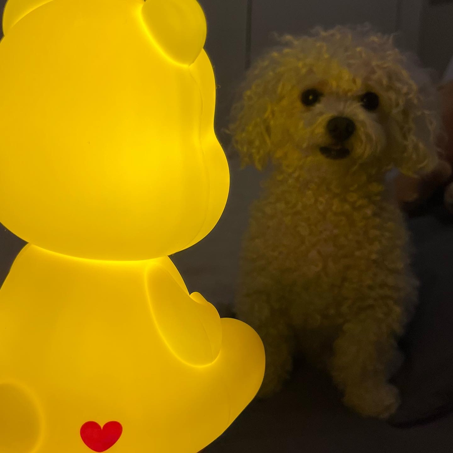 💛케어베어 무드등 옐로우💛