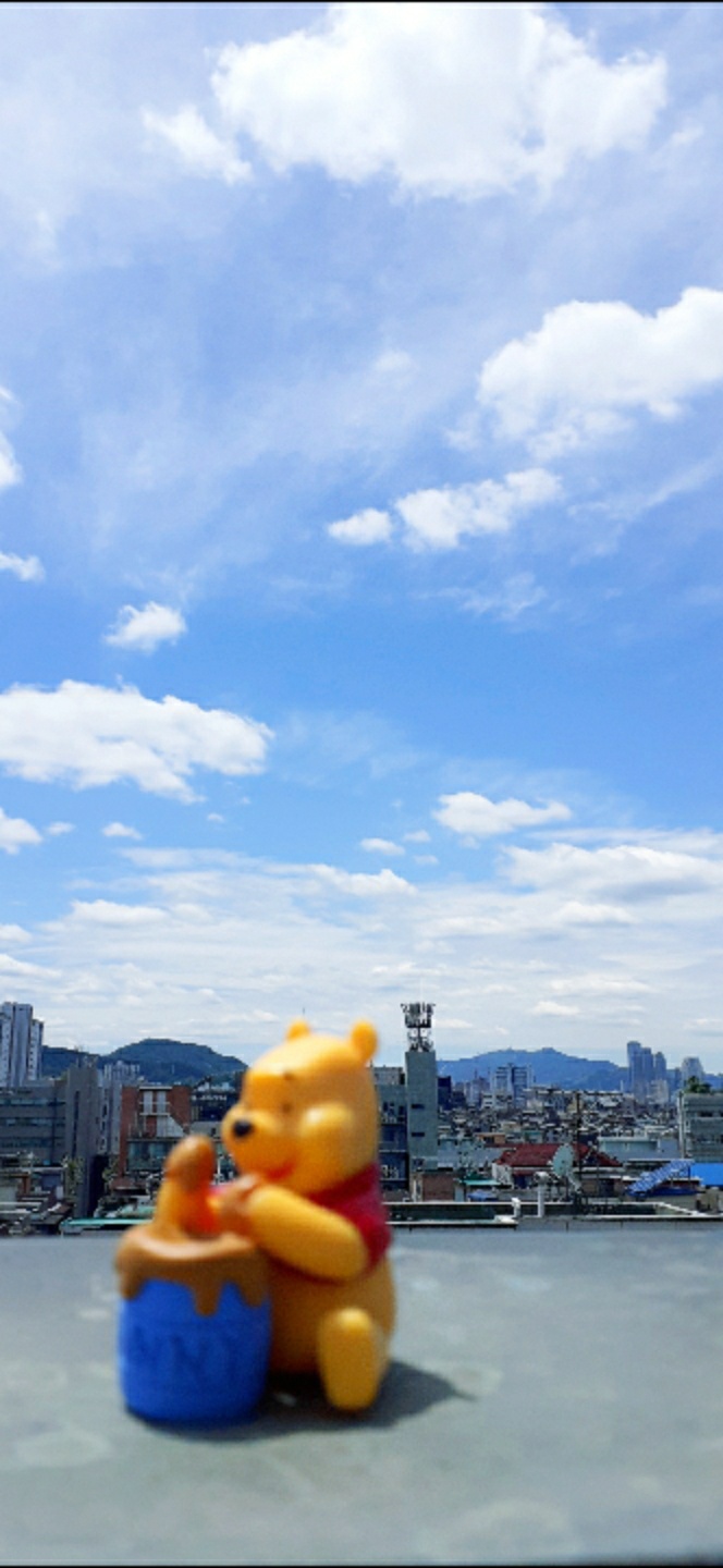 곰돌이 푸