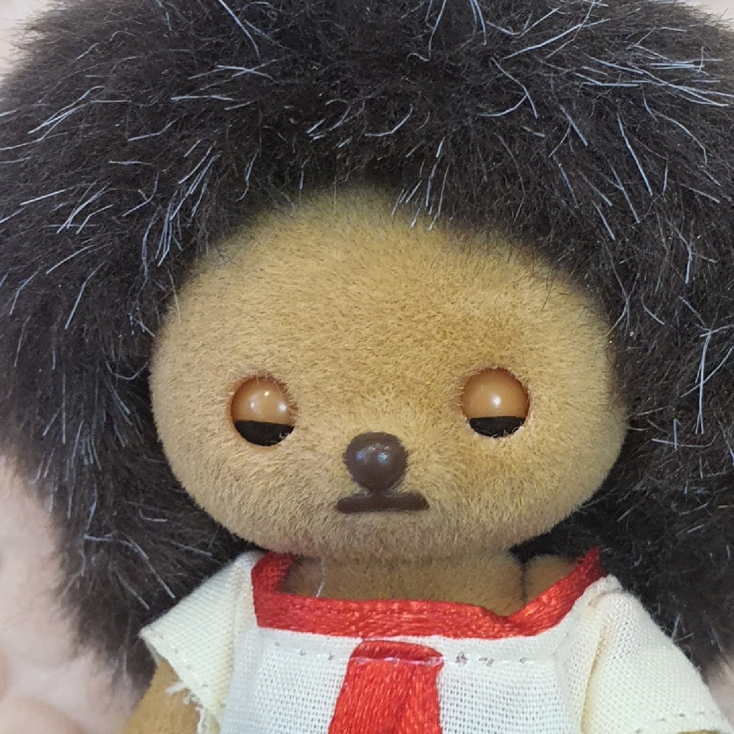 곰슴도치