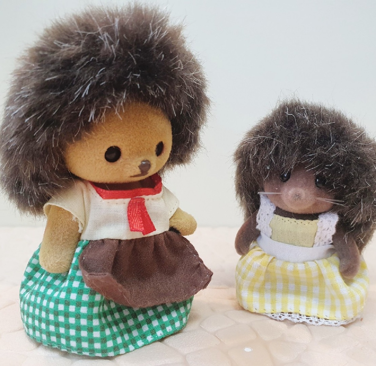 곰슴도치와 고슴도치