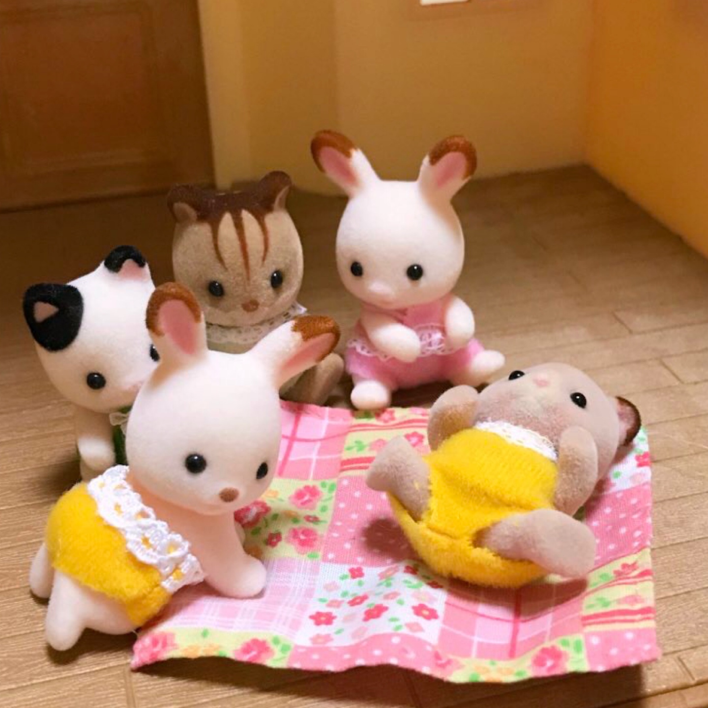 실바니안 아기들🍒