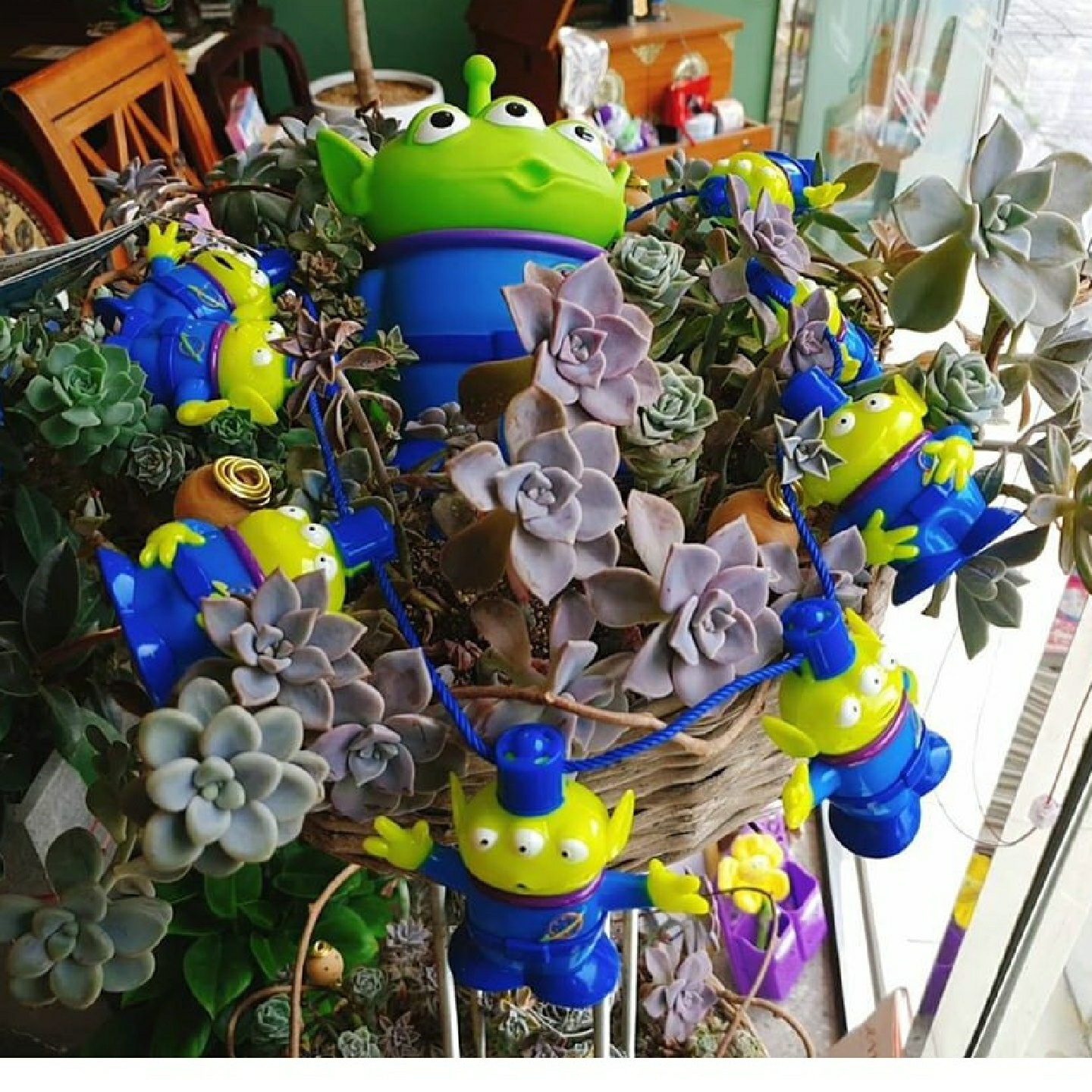 토이스토리 감성카페ㅡ경주 삼덕커피
