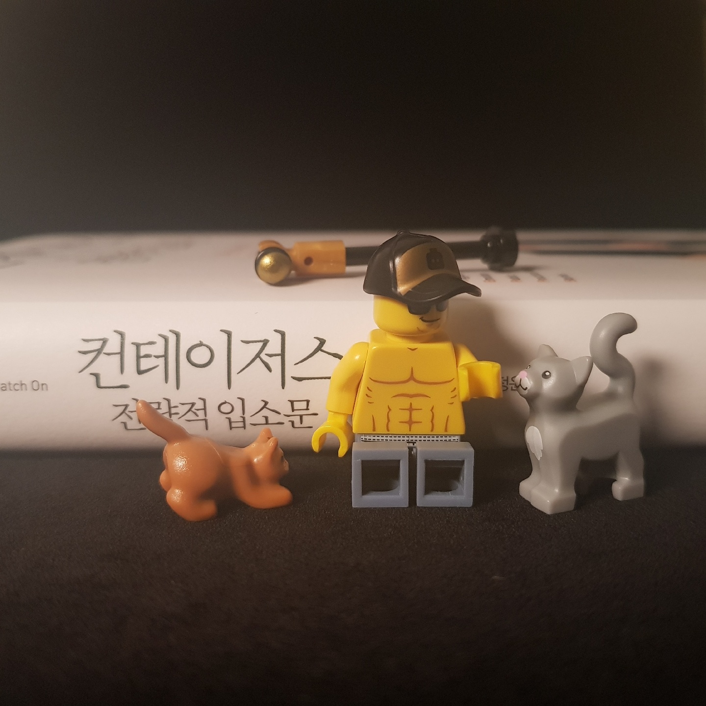 1일 몇 깡 하세요?