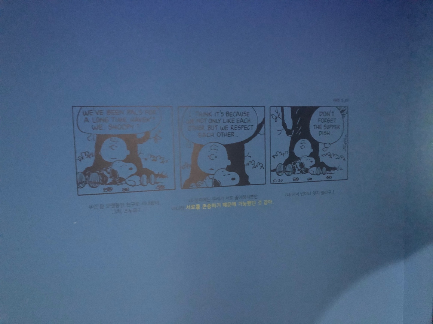 화를 내도 귀여운 스누피