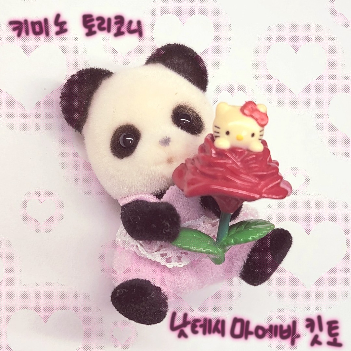 실바니안팬더와 장미키티