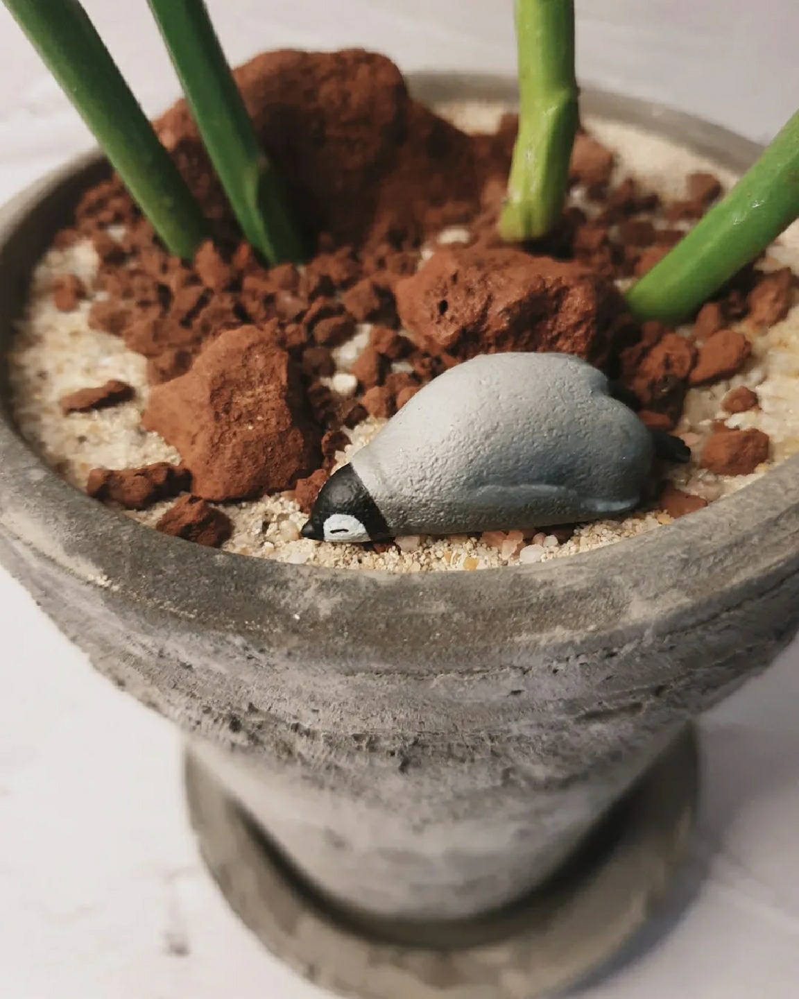 모래찜질 중인 펭귄씨🐧