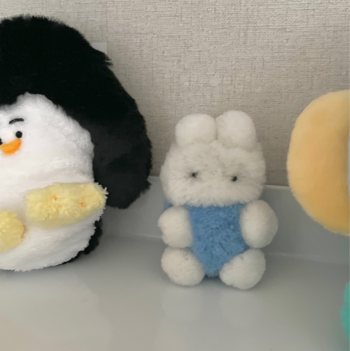 차려입은 토깽이🐰