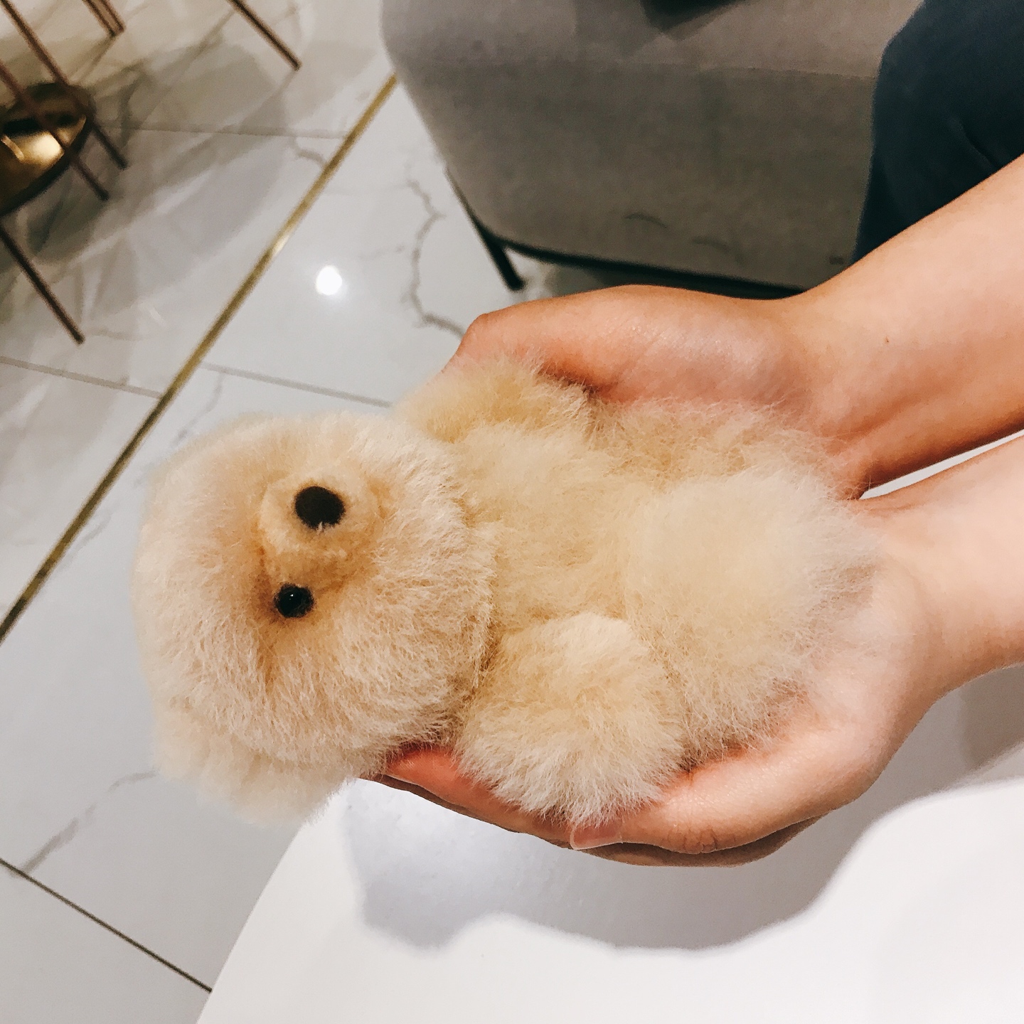 컴발리 알파카털 곰돌이
