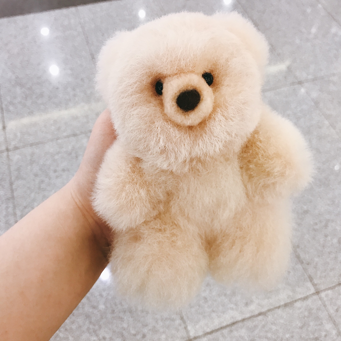컴발리 알파카털 곰돌이