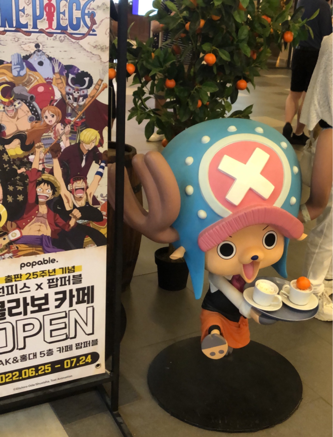 원피스 카페