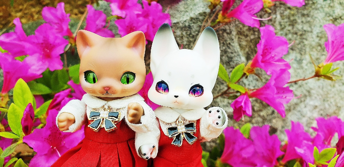 코코리앙 모카 브라운 & 니야