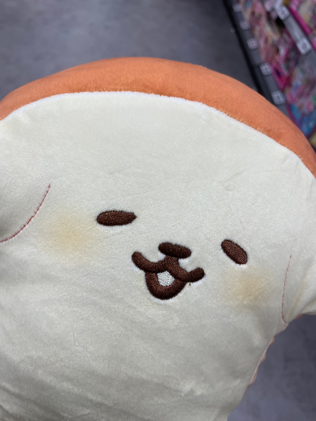 식빵강아지