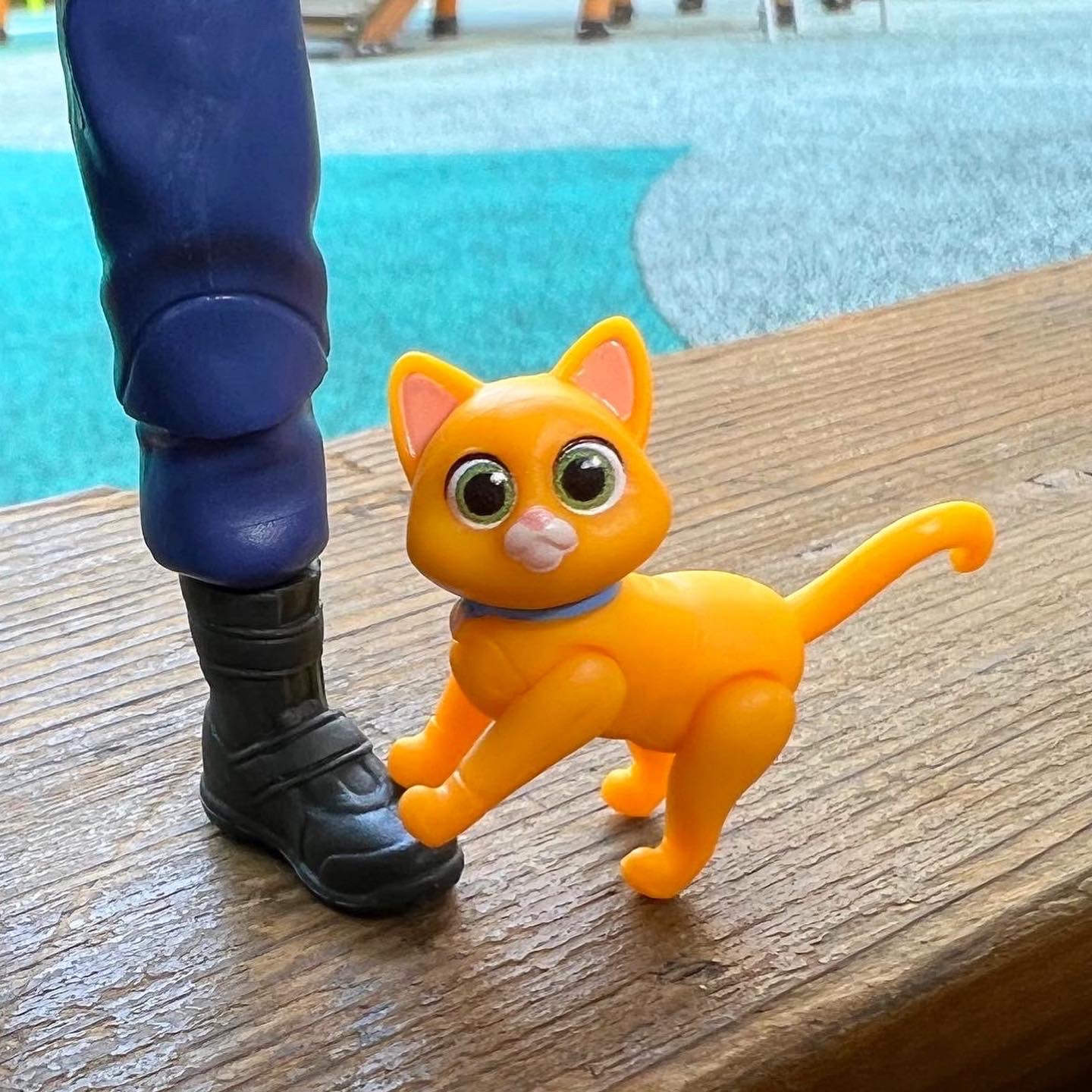 콜리의 선물💙💛