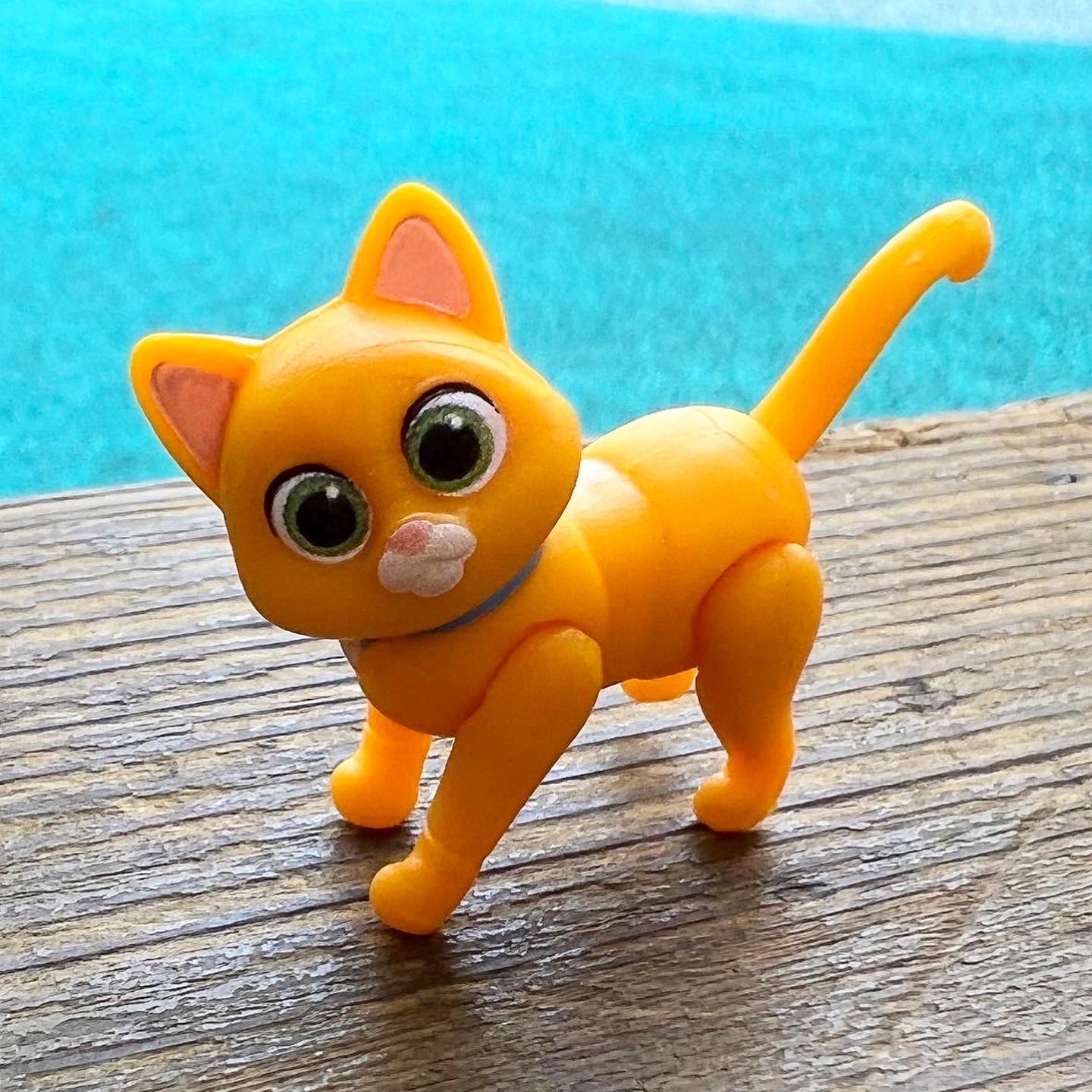 콜리의 선물💙💛