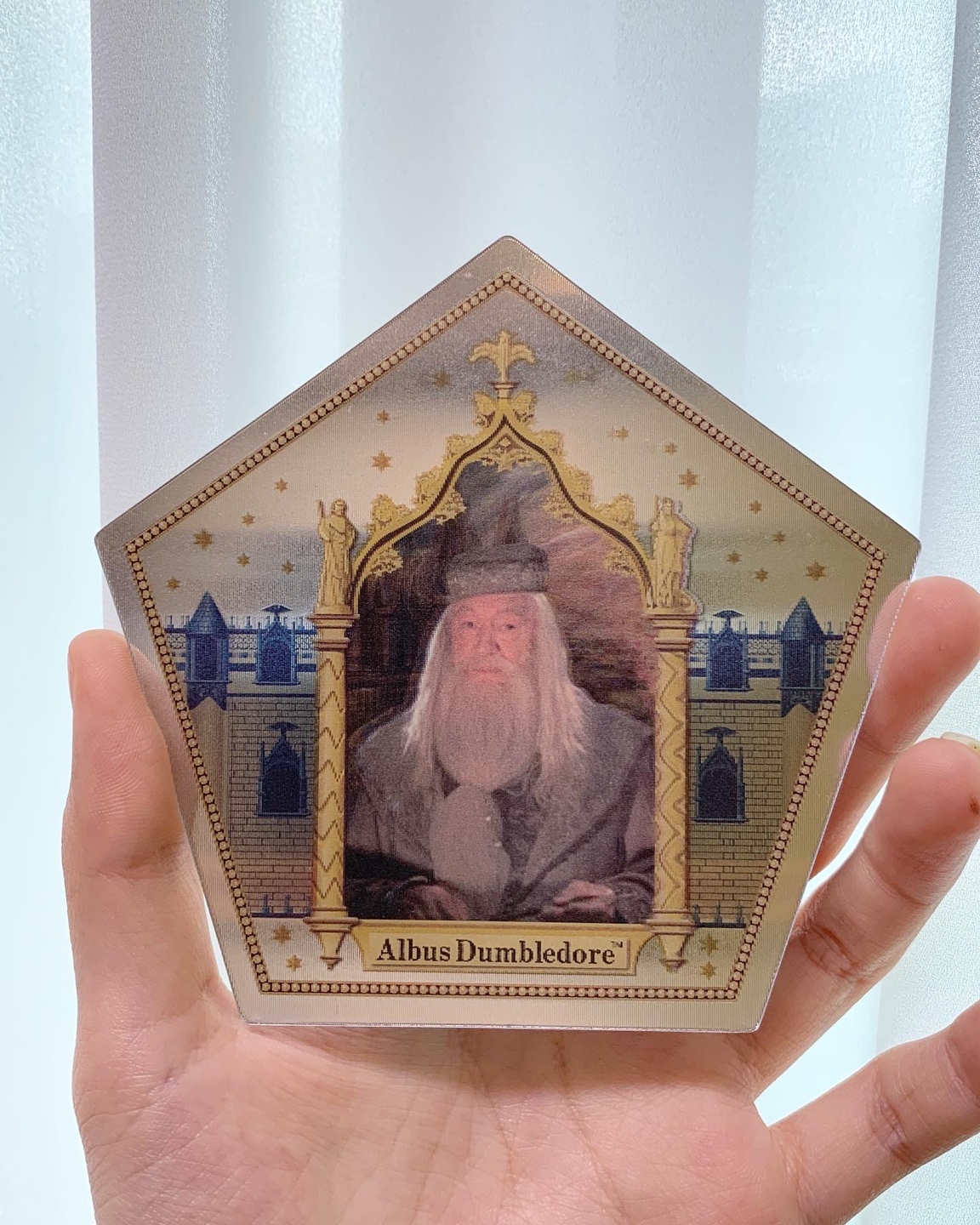 USJ limited chocolate card 콜리(Colley)