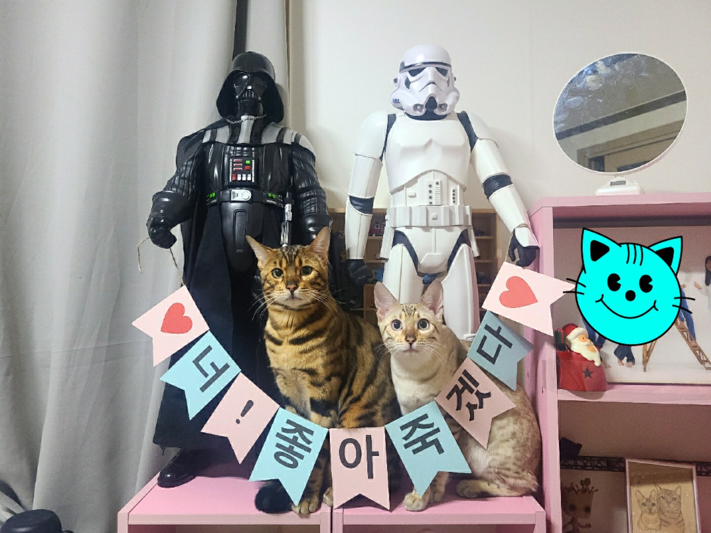 Star Wars Kitty