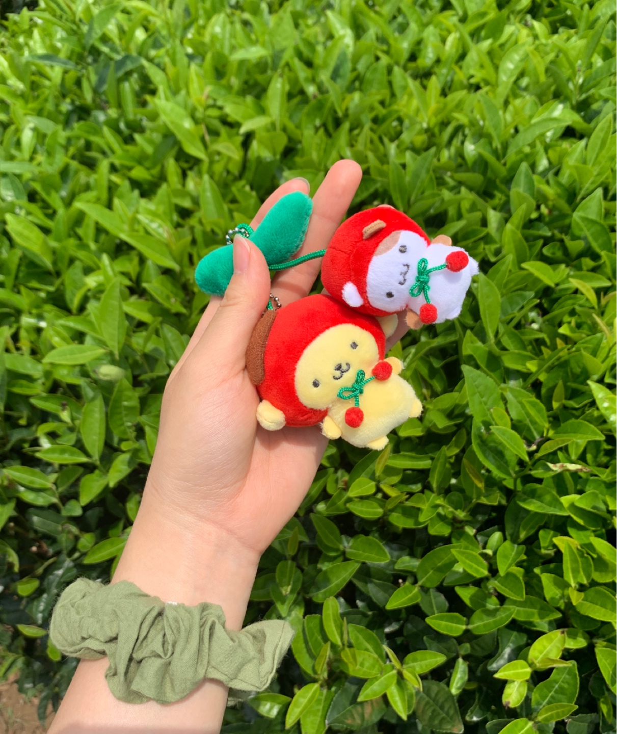 체리 푸린&머핀군🍒