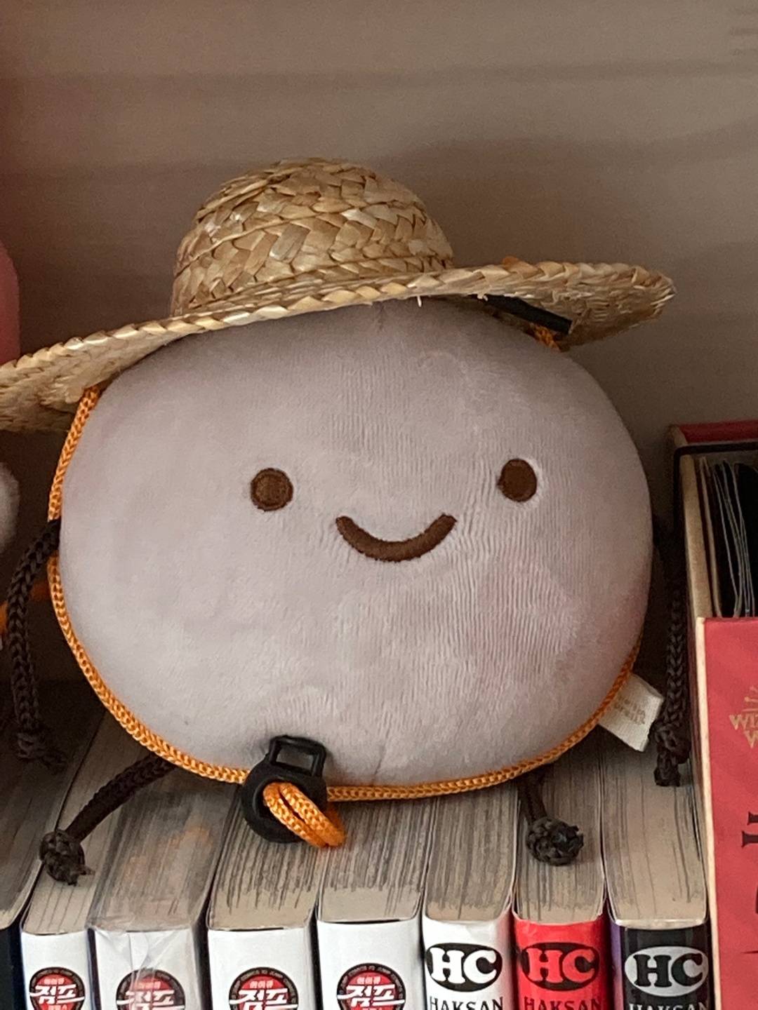 호코리 인형✨