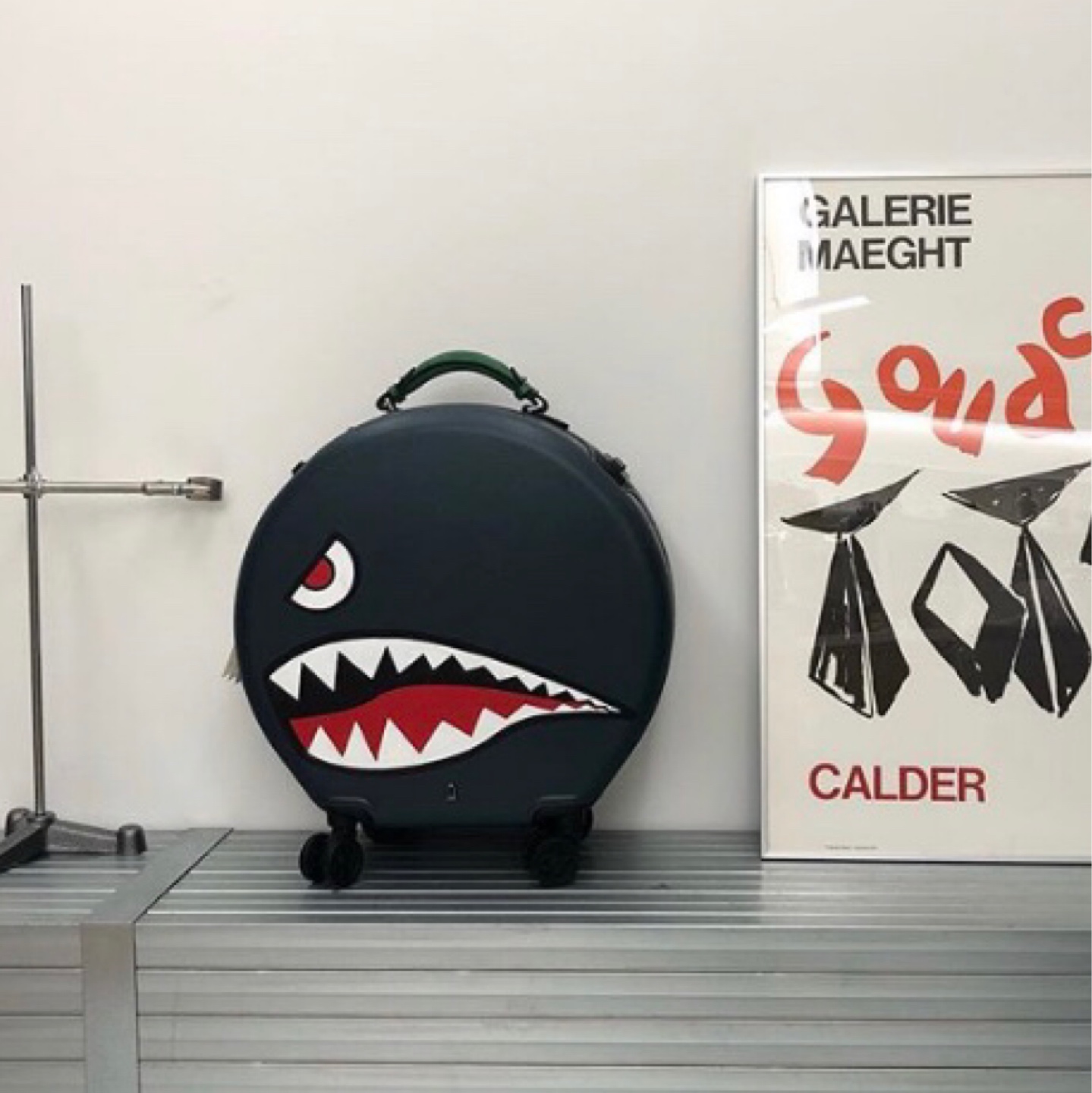 샤크