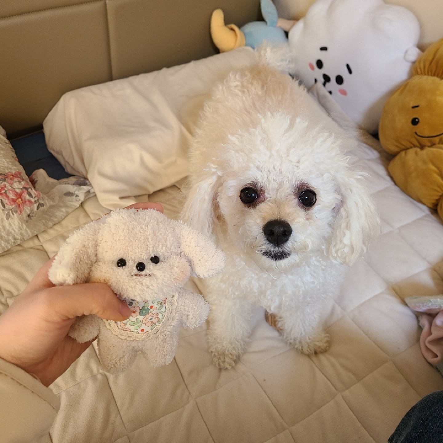 갱얼쥐 인형