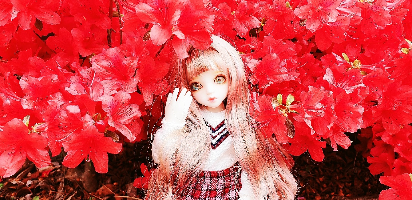 로젠리트