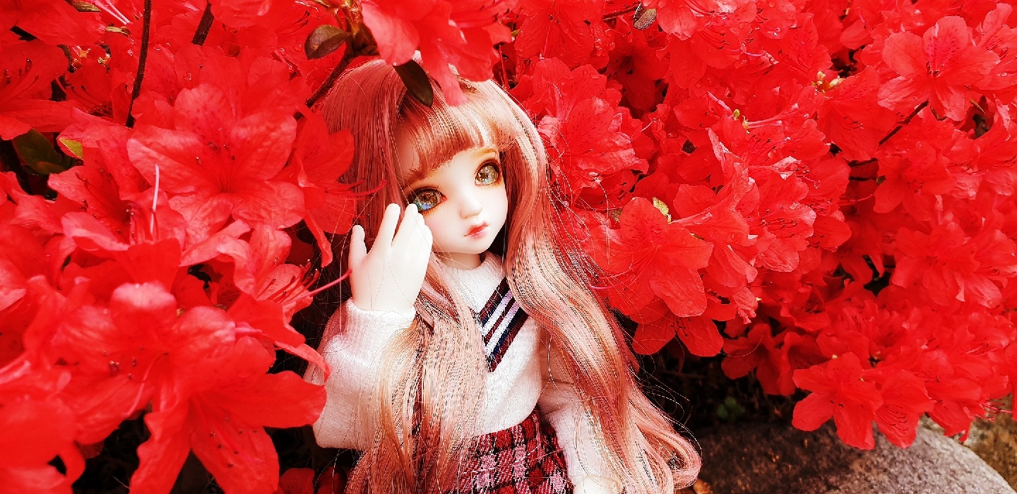 로젠리트