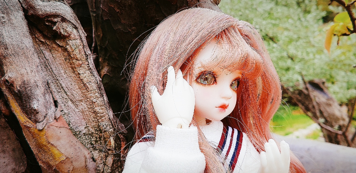 로젠리트