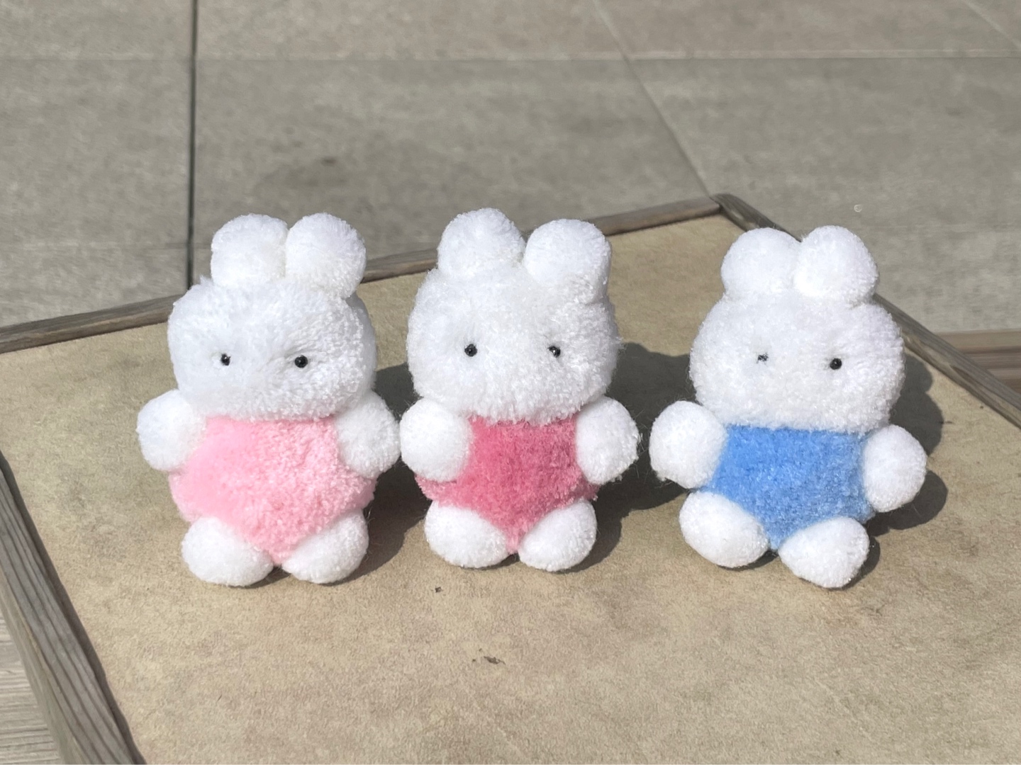 오동통한 친구들🐰