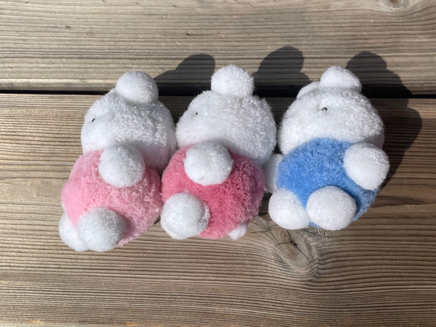 오동통한 친구들🐰