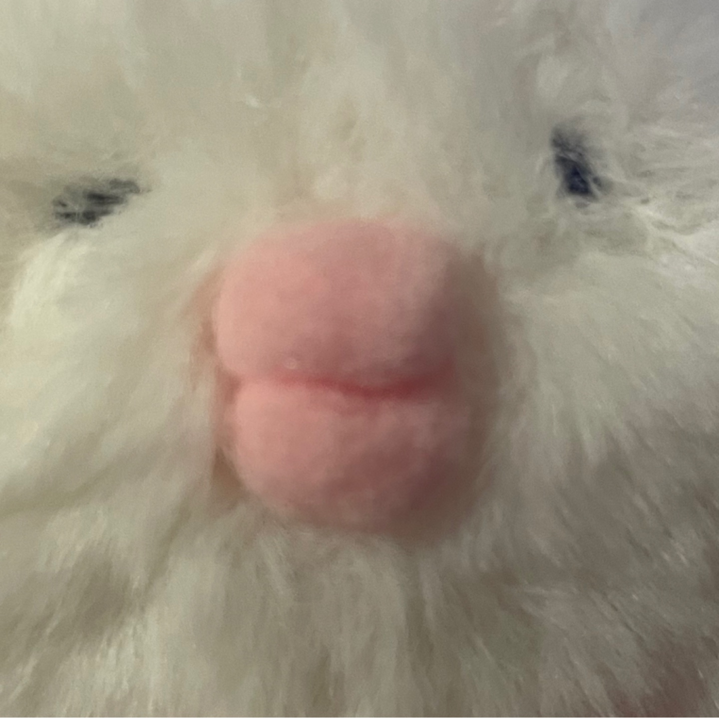 쁍?