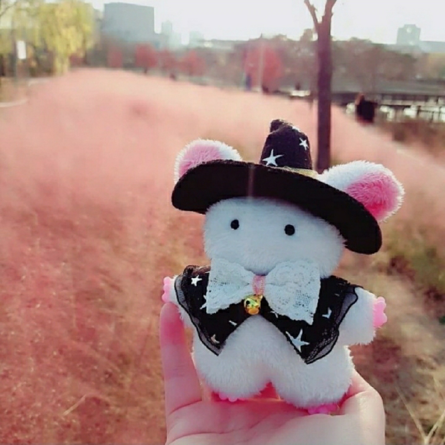 쥬비!