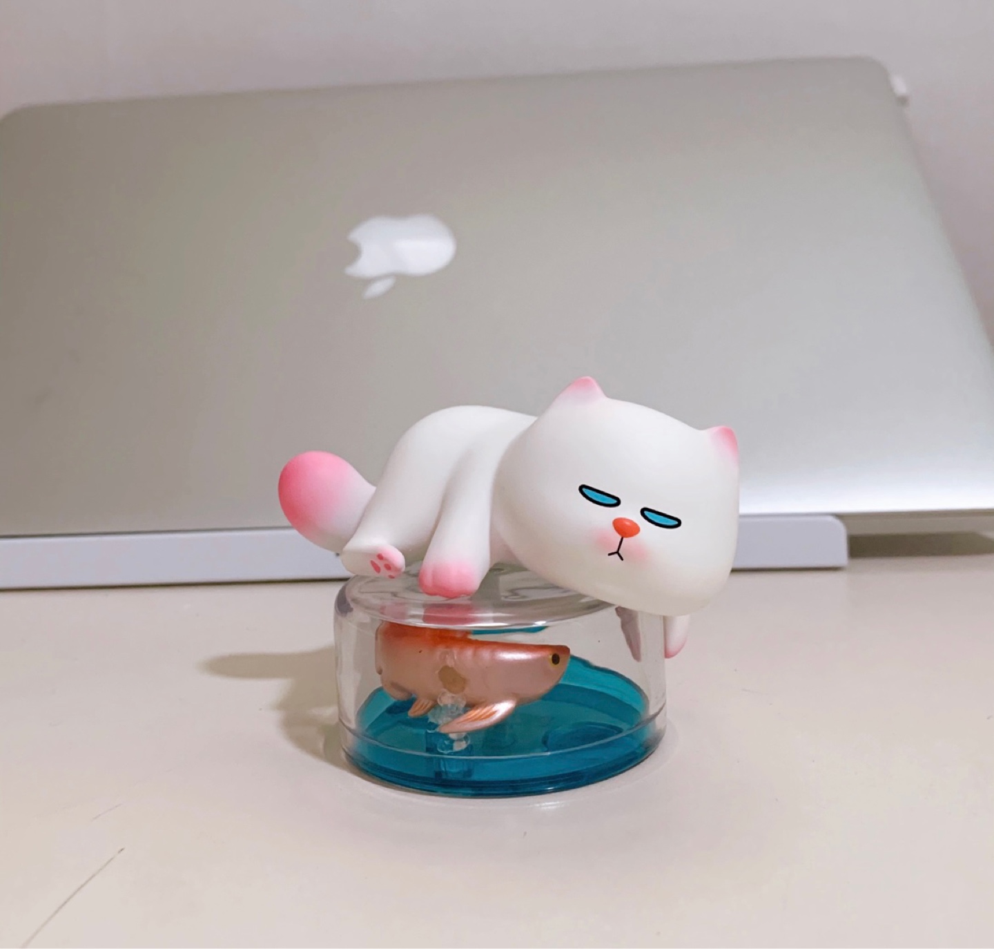 팝마트 비비캣 고양이 